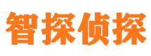 定海市私家侦探